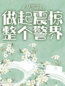 从实习做起震惊整个警界全文免费试读