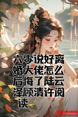 六零说好离婚大佬怎么后悔了陆云泽顾清许阅读